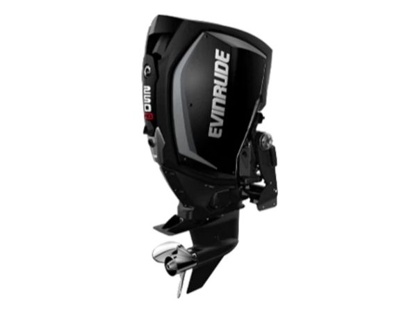Evinrude H250HGXF 250 HO Outboard Motor