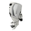 Evinrude H250HWXF 250 HO Outboard Motor